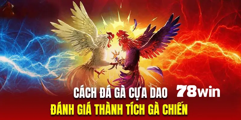Đánh giá thành tích là chiến thuật chơi đá gà cựa dao hiệu quả